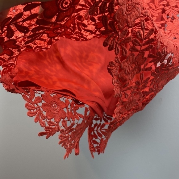 M&S Collection • Lace Sheath Short Sleeve Bodycon Midi Dress - Picture 10 of 16